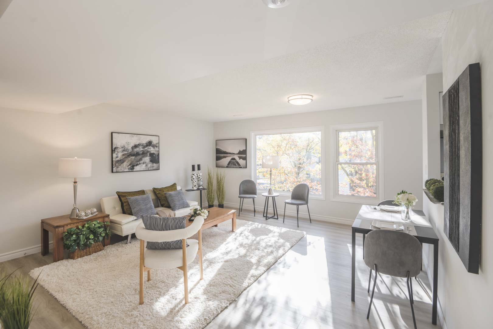 Living Room — Wide View