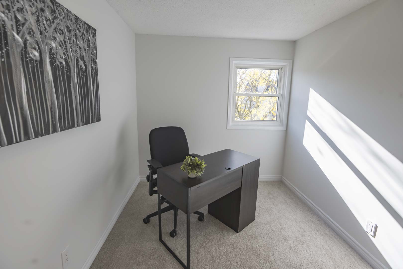 Bedroom Two / Office