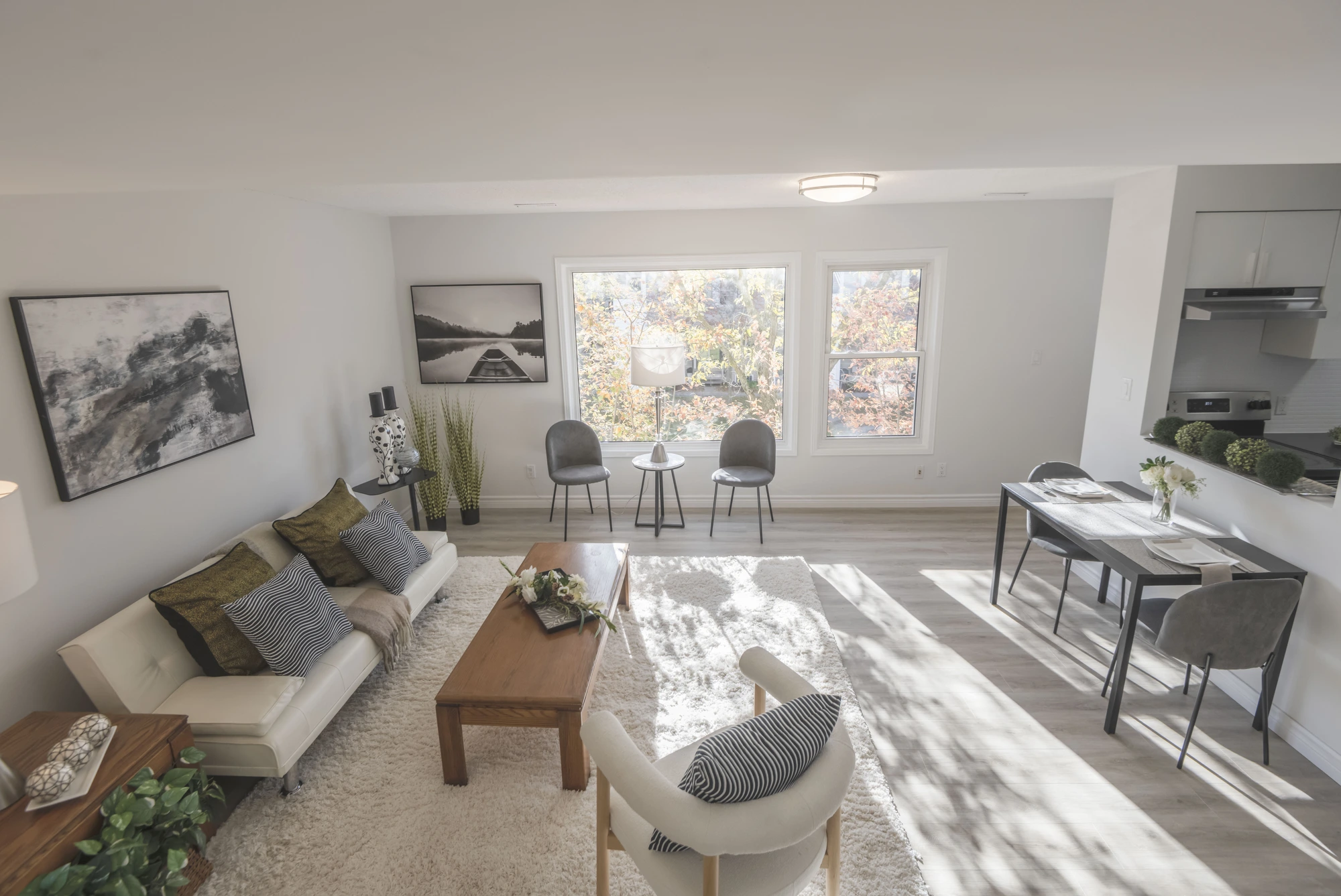 Living Room — Elevated View